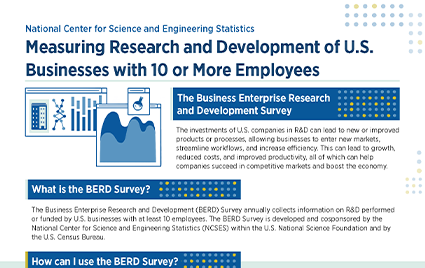 BERD Survey Overview